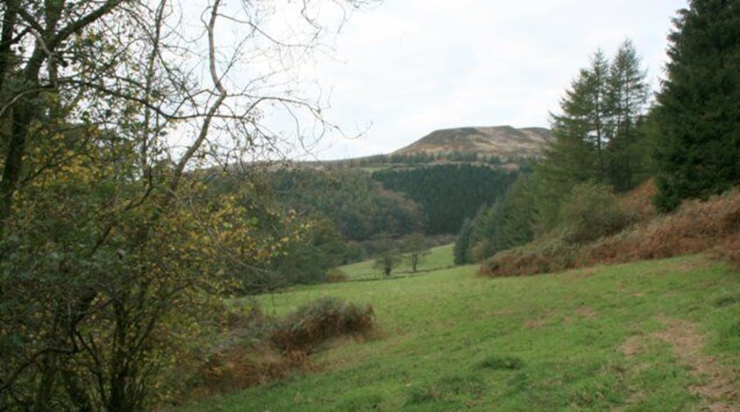 Secluded Valley Near Holme Farm An un-named tributary of Bilsdale Beck. A Public Footpath to Urra climbs along it. With Hasty Bank on the skyline.