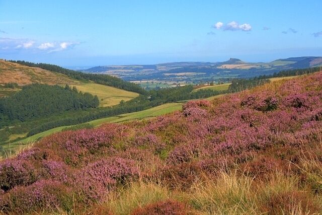 Roseberry Topping from Urra Moor Seen through the col at Hasty Bank.