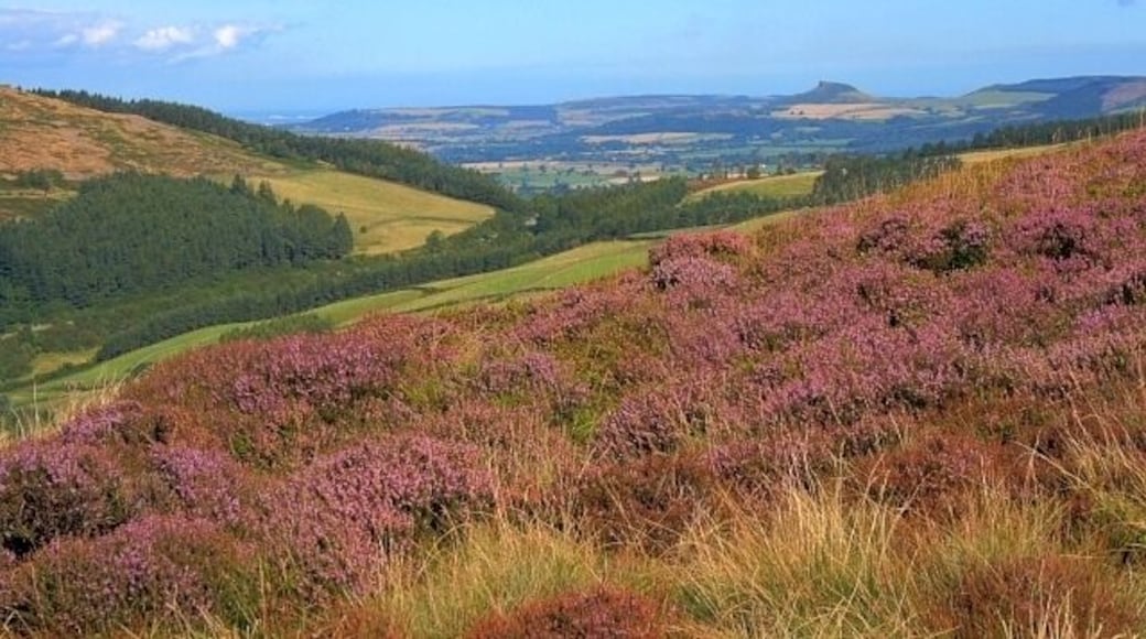 Roseberry Topping from Urra Moor Seen through the col at Hasty Bank.