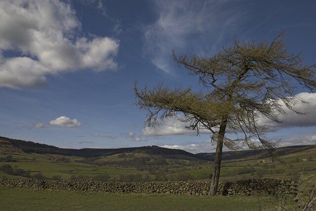 Top of Bransdale from near Wind Hill. Wind Hill is South of Spout House on the Eastern side of Bransdale.