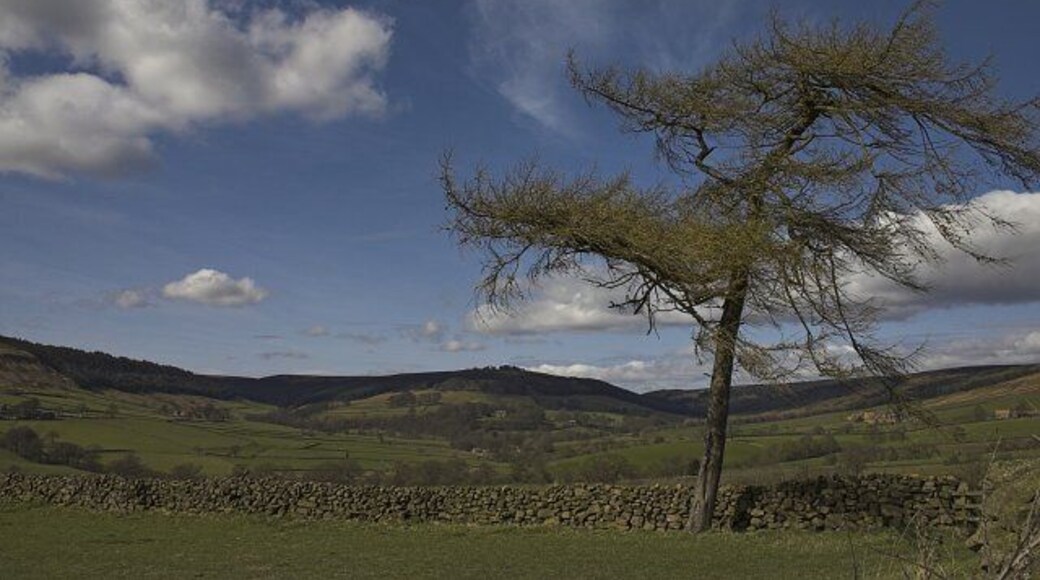 Top of Bransdale from near Wind Hill. Wind Hill is South of Spout House on the Eastern side of Bransdale.