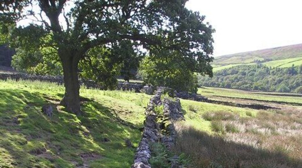 Unusual double-width wall This is the thickest boundary wall I've ever seen.
