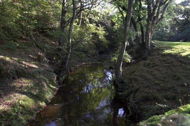 Downstream from the bridge over Hodge Beck