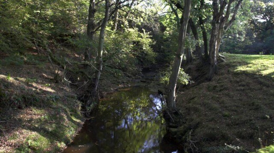 Downstream from the bridge over Hodge Beck