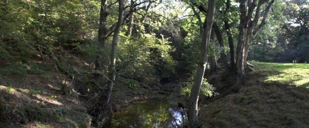 Downstream from the bridge over Hodge Beck