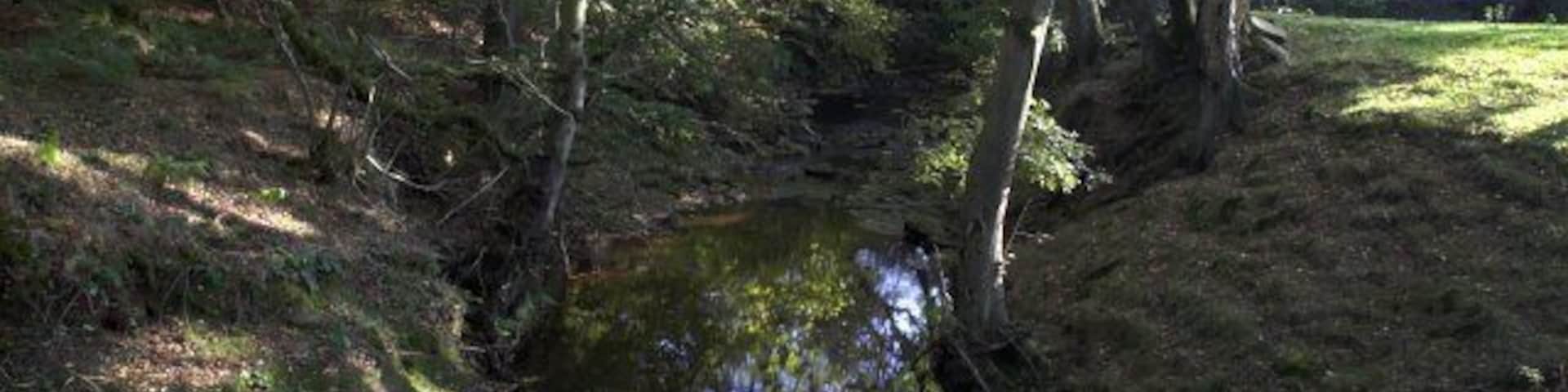Downstream from the bridge over Hodge Beck