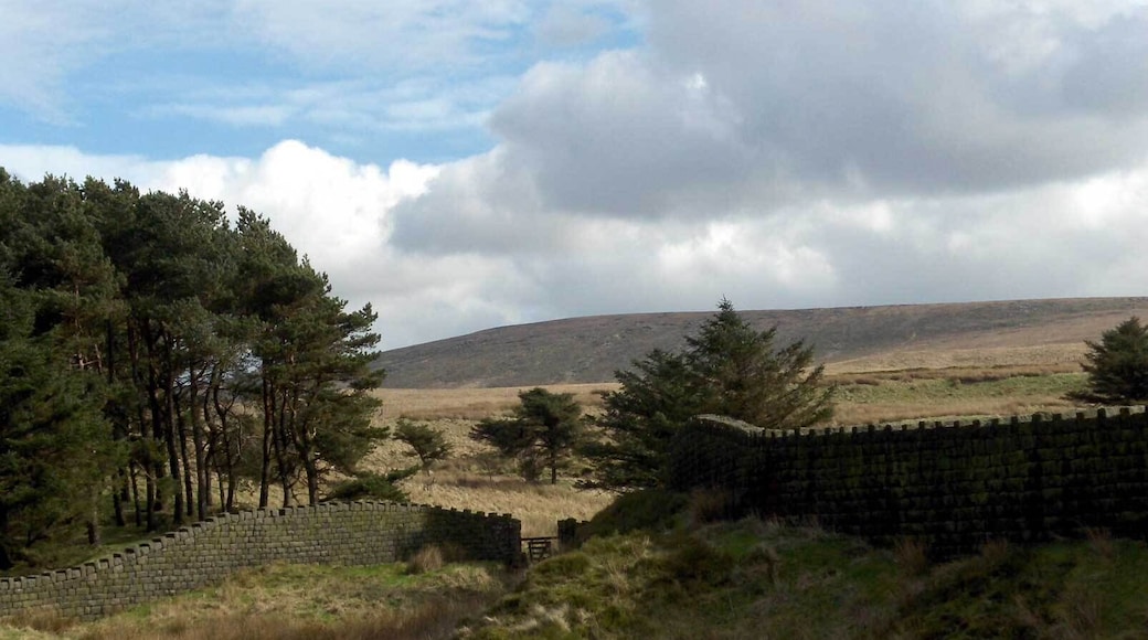 Boulsworth Hill and branch of Lower Coldwell Reservoir