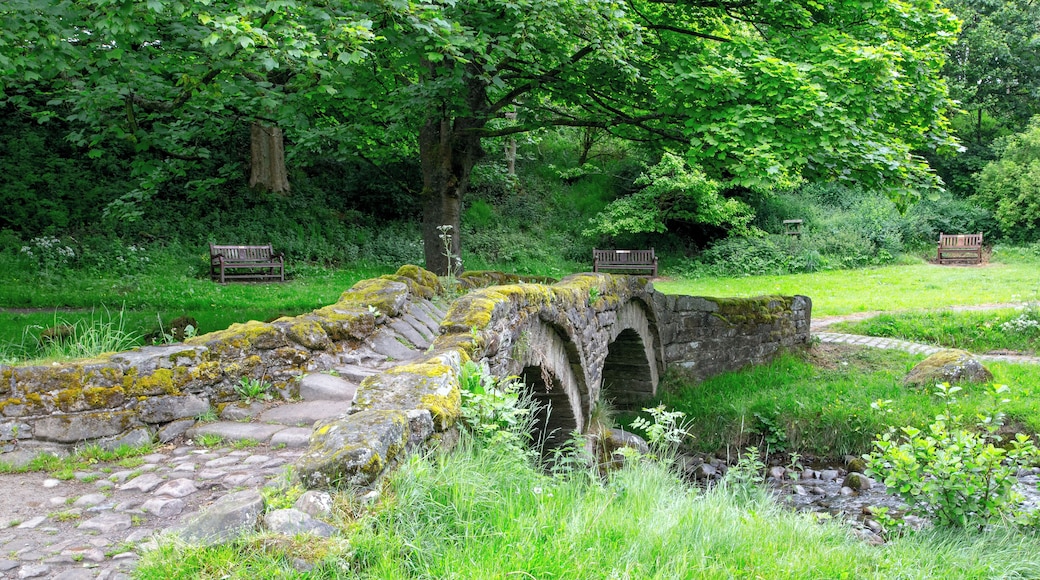 Wycoller packhorse bridge Wikidata has entry Q17640893 with data related to this item.