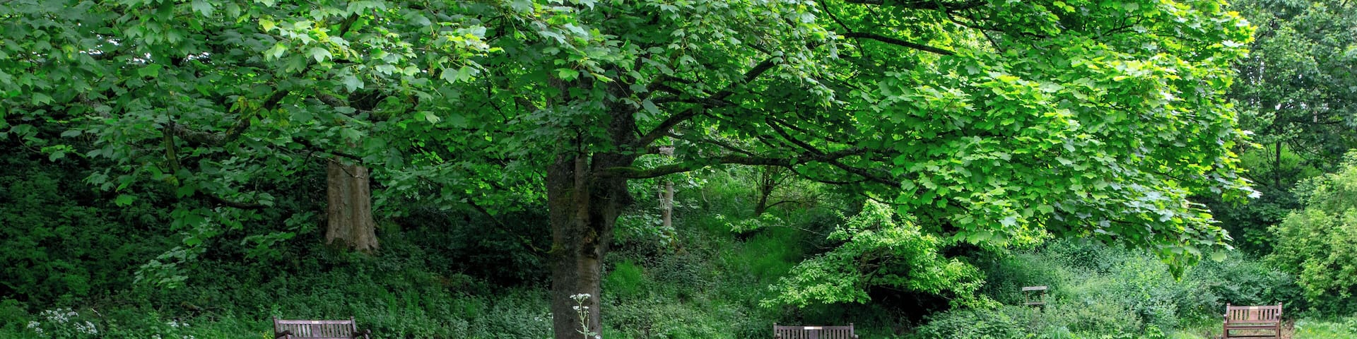 Wycoller packhorse bridge Wikidata has entry Q17640893 with data related to this item.