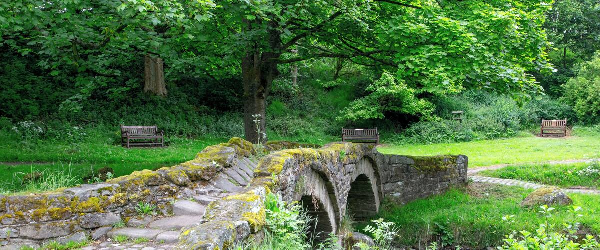A stone bridge over a stream in a lush green park with benches.