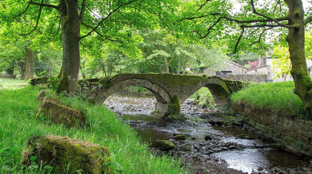 Wycoller packhorse bridge Wikidata has entry Q17640893 with data related to this item.