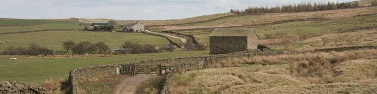 Bridleway towards Boulsworth Dyke