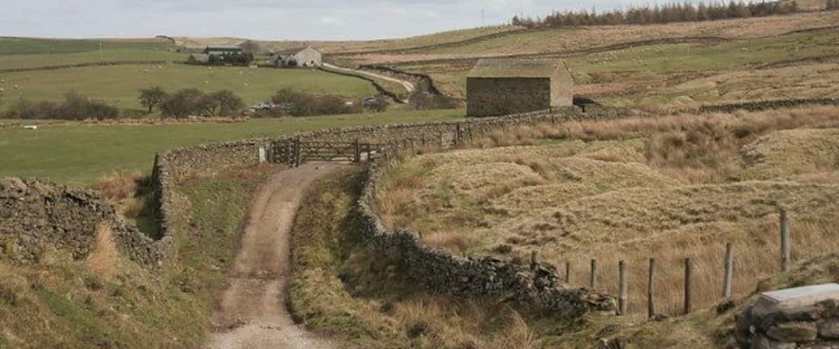 Bridleway towards Boulsworth Dyke