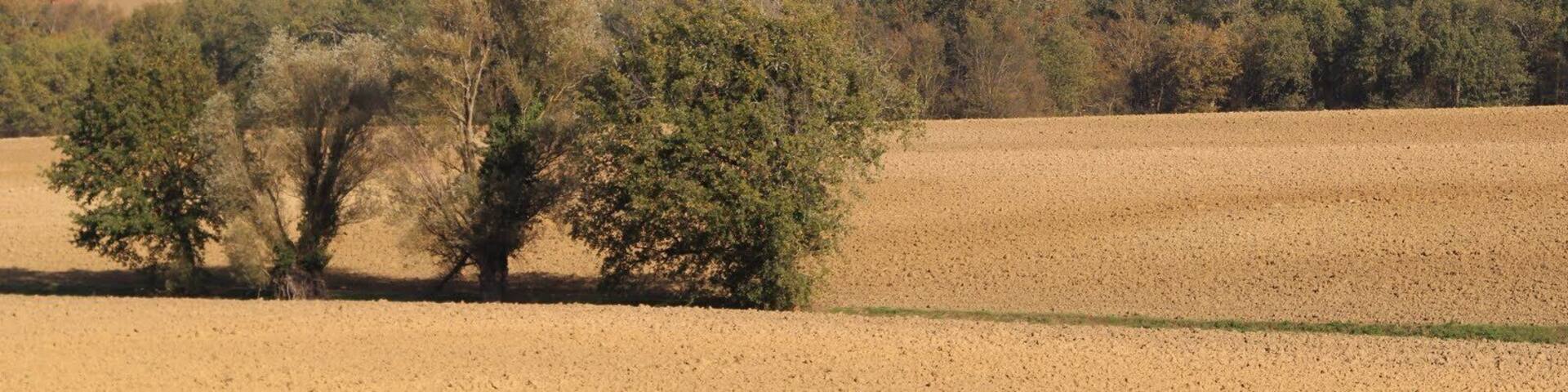 Château de Péchauriole