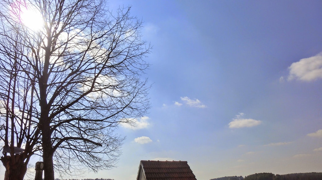 Rastplatz bei der Schressendorfer Kapelle 1