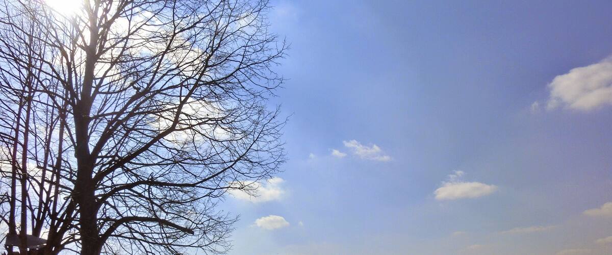 Rastplatz bei der Schressendorfer Kapelle 1