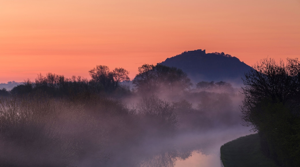 A misty landscape with a river, trees, and a hill during sunrise or sunset.