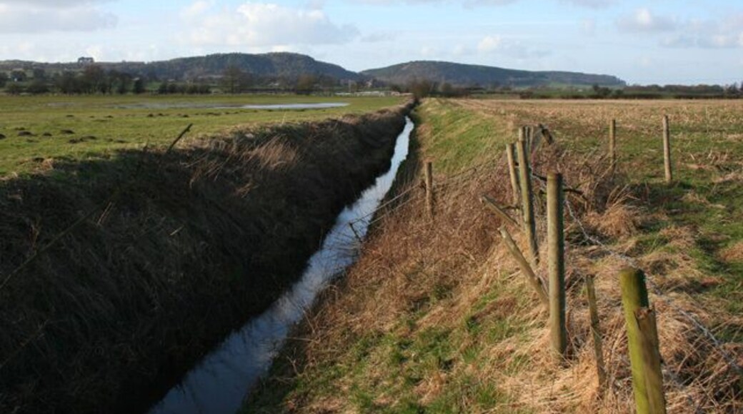 Beginnings of the River Weaver The River Weaver near its source in the Peckforton Hills (background). At this point the river is scarcely distinguished from the many drainage ditches in this area. View from footbridge by Coronation Wood