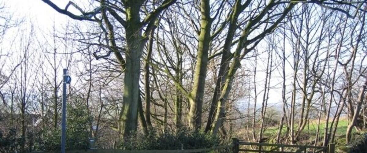 A rural road with a wooden gate, snow on the ground, and leafless trees.