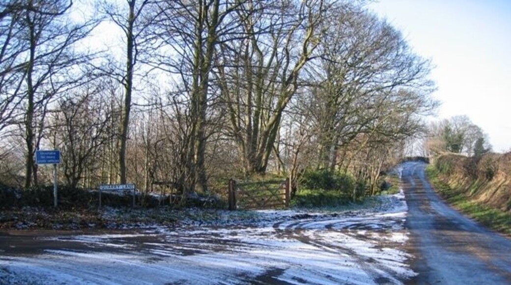 Quarry Lane Junction The very narrow quarry lane heads off to the left here thus avoiding a sharp hairpin bend near Lowerhall Farm.