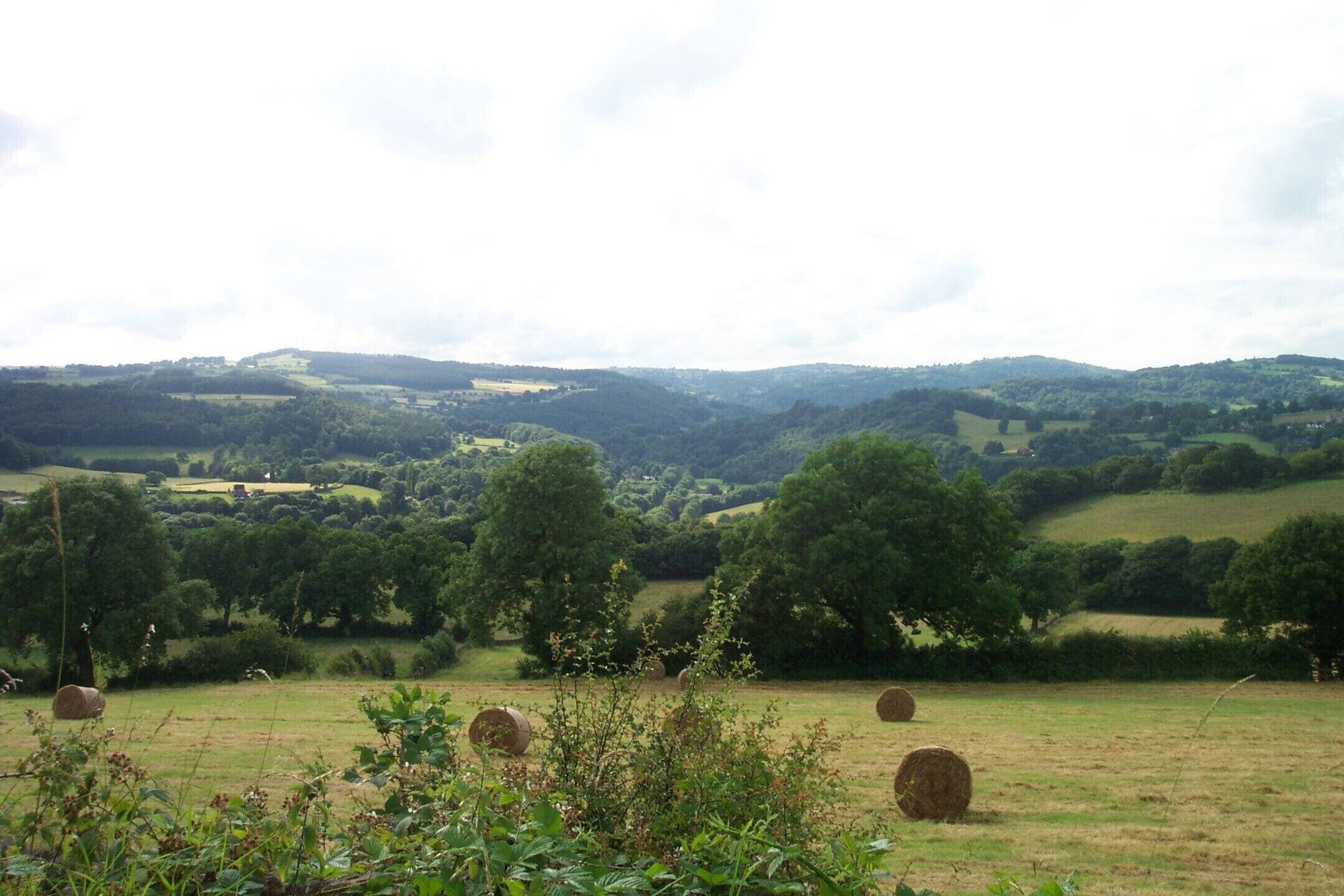 The valley of the River Derwent upstream of Whatstandwell, taken from Hindersitch Lane above Whatstandwell. For more information see the Wikipedia articles River Derwent (Derbyshire) and Whatstandwell.