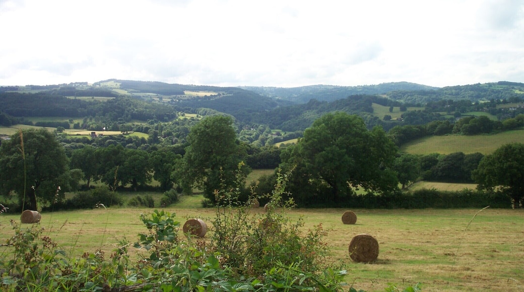 The valley of the River Derwent upstream of Whatstandwell, taken from Hindersitch Lane above Whatstandwell. For more information see the Wikipedia articles River Derwent (Derbyshire) and Whatstandwell.