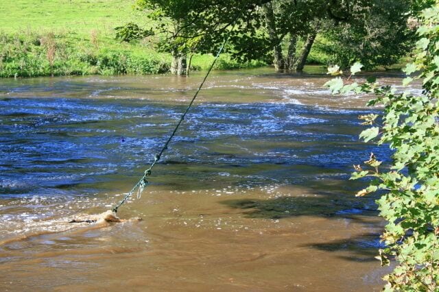 Unusual Flood Height Monitor This rope swing is presumably under normal conditions at least three feet above the level of the river.