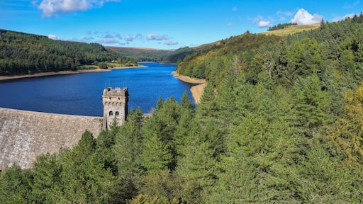 A large dam with a tower, surrounded by dense forest and a clear blue lake.