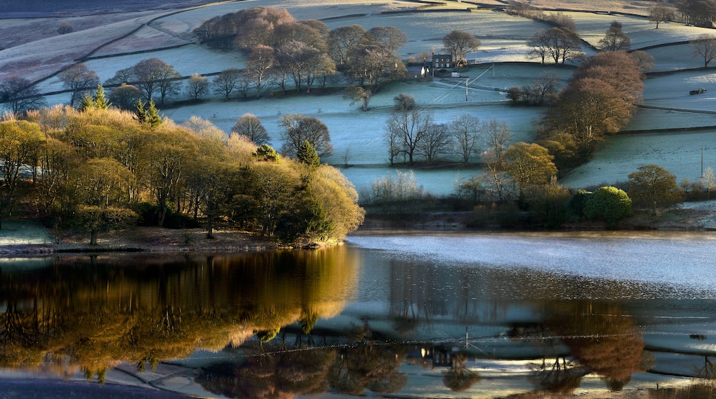 Un paisaje con un cuerpo de agua que refleja árboles y colinas ondulantes.