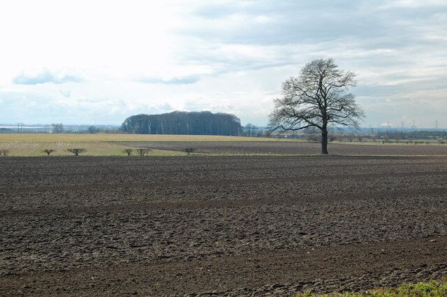 Near Elloughton, East Riding of Yorkshire, England. Photo taken from the road between Elloughton and Brantingham. On the right hand horizon the power station at Drax is just visible at a distance of 28km.
