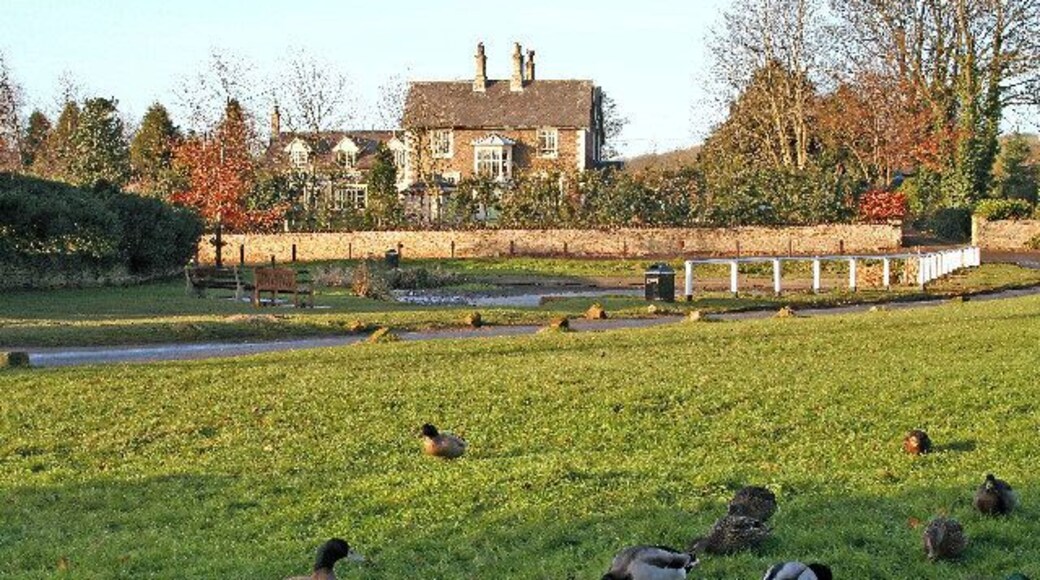 Village Duck Pond, Brantingham, East Riding of Yorkshire, England.