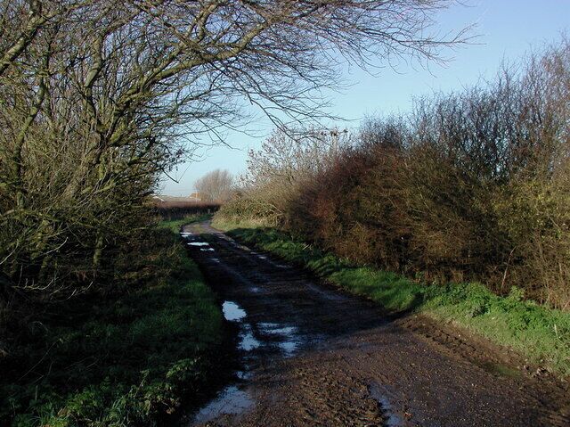 South Leys Road, Hollym, East Riding of Yorkshire, England. Looking northwest towards Manor Farm and Eastfield Farm from the end of the public footpath to Hompton.