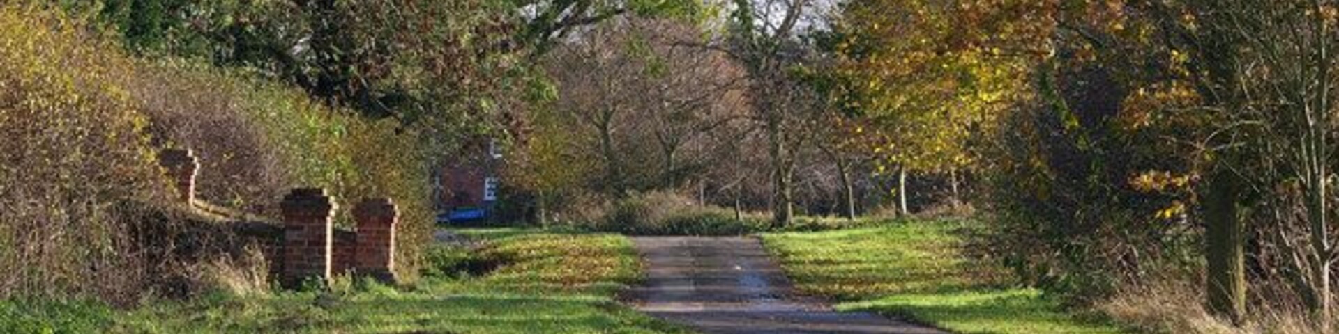 Un sendero pavimentado en un parque con árboles y césped.