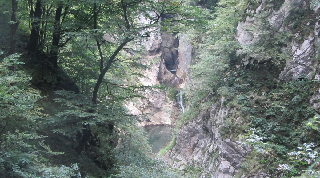 Stocjan caves natural park, in the bottom of the hollow