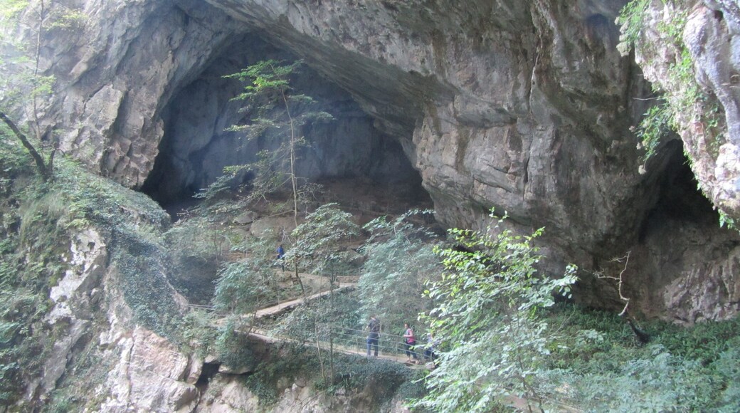Stocjan caves natural park, in the bottom of the hollow