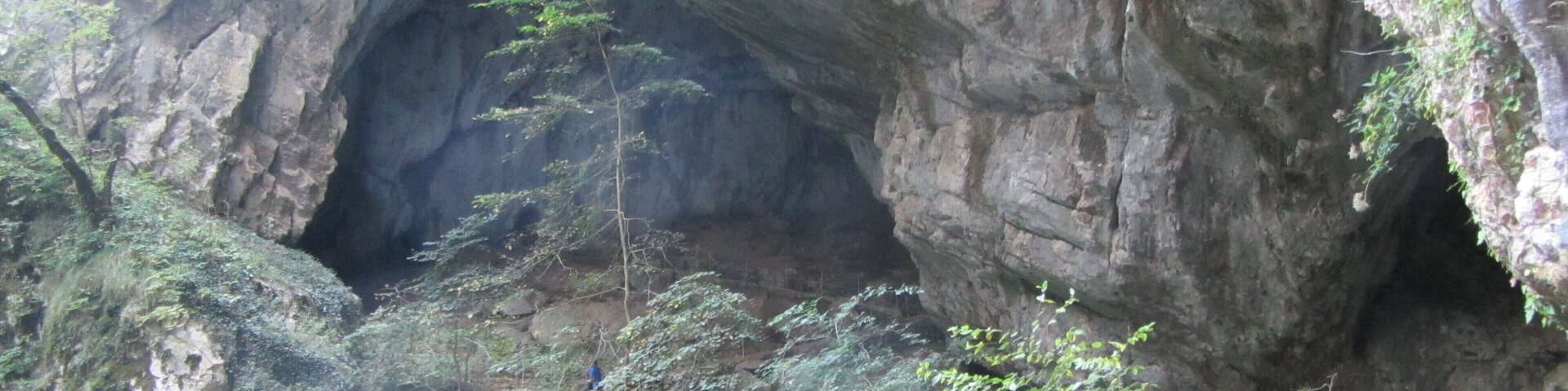 Stocjan caves natural park, in the bottom of the hollow