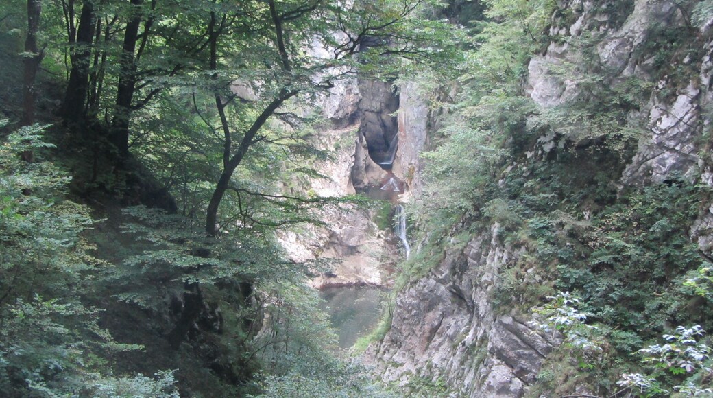Stocjan caves natural park, in the bottom of the hollow