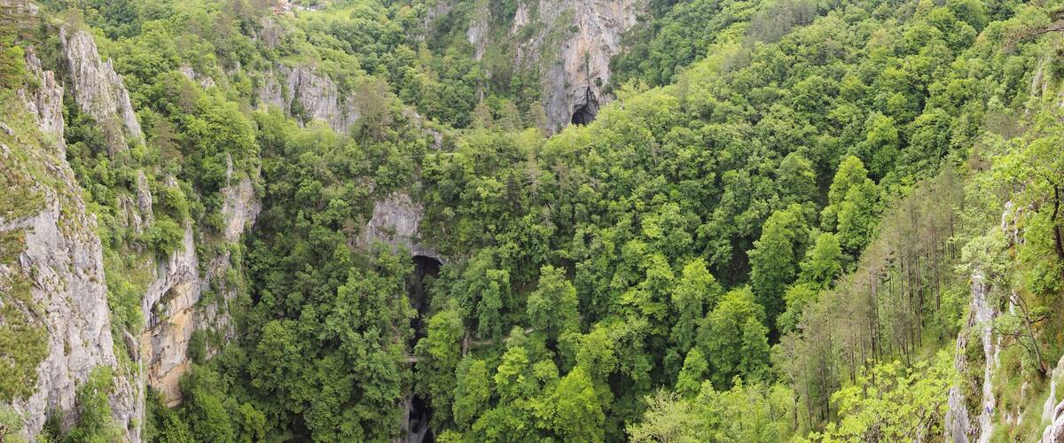 View of Škocjan valley, near the Škocjan cave.