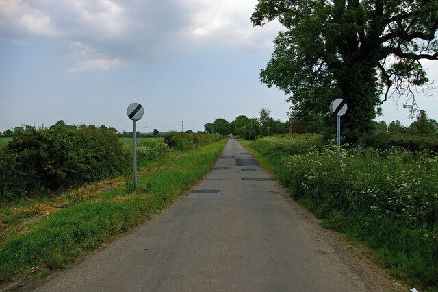 A rural road with directional signs, surrounded by greenery and a large tree.