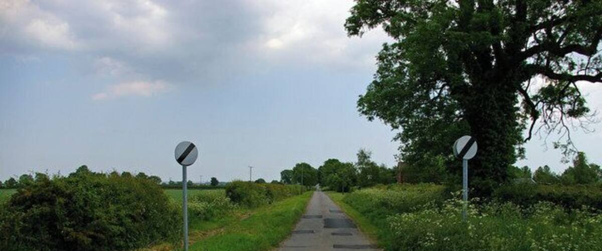A rural road with directional signs, surrounded by greenery and a large tree.