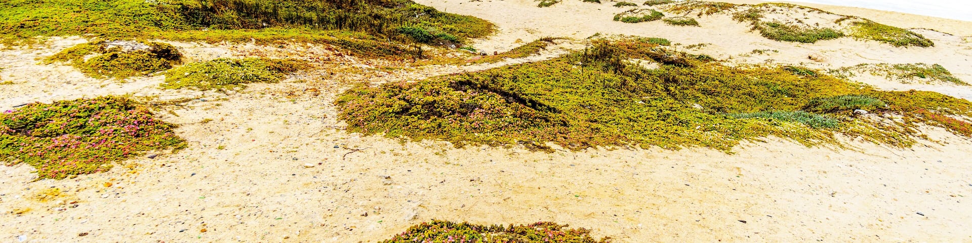 The beautiful beaches on False Bay along Baden Powell Drive between Macassar and Muizenberg near Cape Town, South Africa