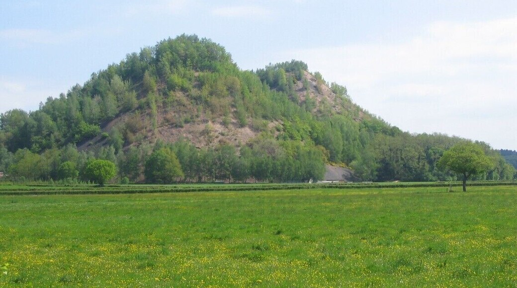 Les 2 « mamelons » des TĂ©lots Ă la sortie nord dâAutun, SaĂŽne et Loire, dont le plus Ă©levĂ© pointe Ă la cote 397, coincĂ©s entre les routes de Montbard-D680 et Dijon-D681, forment un contraste saisissant sur la plaine environnante... Ce fĂ»t de 1824 Ă 1957, un des hauts lieux dâextraction de schistes bitumineux en France. En 1837 dĂ©marre la production dâhuile pour Ă©clairage public, alimentant de grandes agglomĂ©rations du pays. Un siĂšcle plus tard entre en service une raffinerie dĂ©diĂ©e au carburant des vĂ©hicules routiers. Cela en fait lors du 2nd conflit mondial un lieu stratĂ©gique tant pour lâoccupant allemand que les troupes alliĂ©es, convoitant la prĂ©cieuse ressource minĂ©rale... les installations subiront ainsi plusieurs tentatives de sabotage. Mais en dĂ©pit des investissements consentis Ă la LibĂ©ration, les chiffres dâexploitation demeureront toujours modestes en regard des espoirs placĂ©s... la concurrence du pĂ©trole conventionnel plus facile Ă exploiter, porte un coup fatal Ă lâextraction bourguigonne fin de dĂ©cennie 1950. A sa fermeture la mine employait encore 350 ouvriers. Son dernier propriĂ©taire Ă©tait la SociĂ©tĂ© des pĂ©troles de PĂ©chelbronn (Alsace), bien connue des automobilistes pour sa vaste gamme de lubrifiants et stations-services dĂ©clinĂ©es sous la marque « Antar »...
