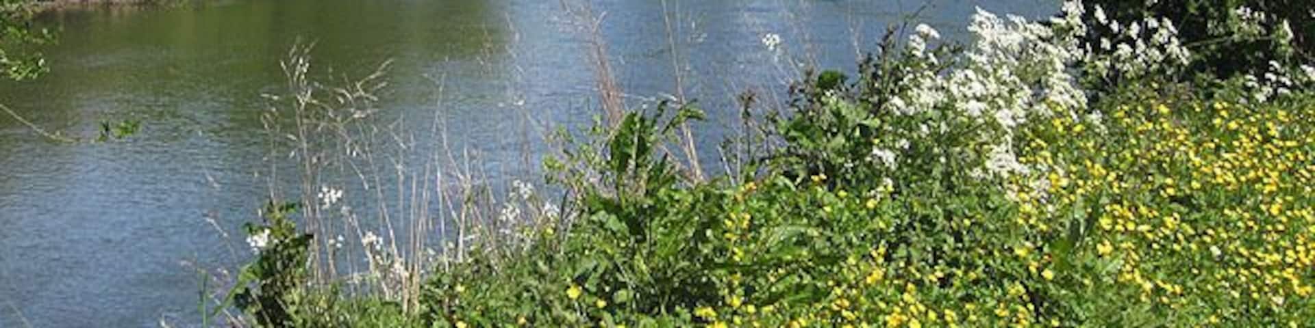 Bend in the River Wye The Wye executes one of its horseshoe bends as it passes through Ross-on-Wye. In the distance is the Gazebo Tower and the spire of St. Mary's Church.