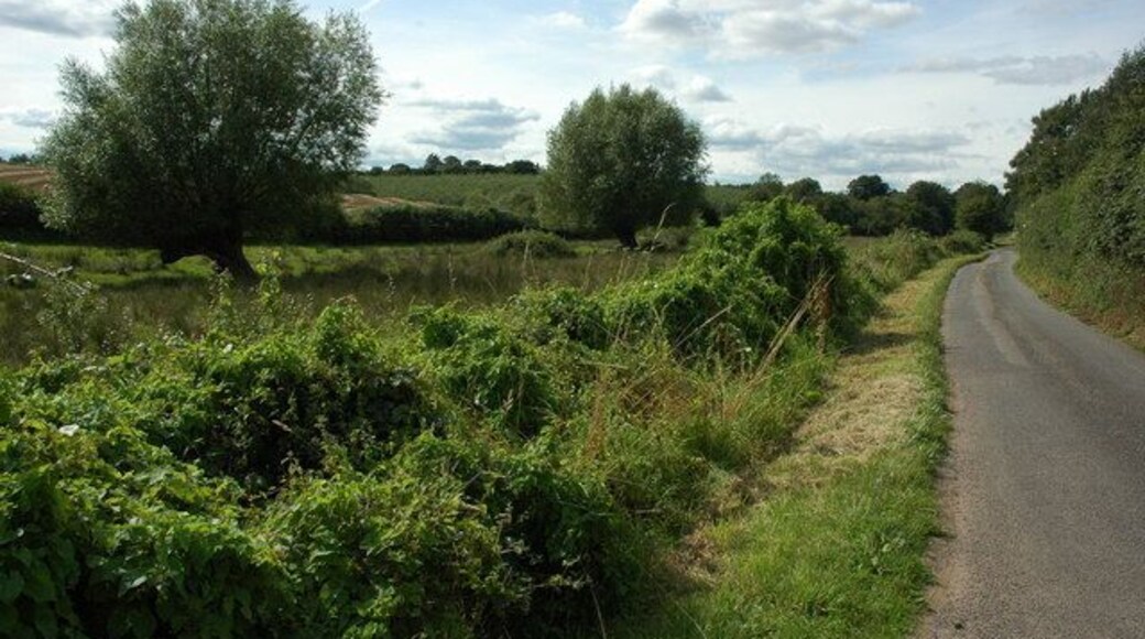 Road following Wells Brook This road to the north-west of Poolmill follows the course of Wells Brook. The willow trees on the left grow on the banks of the brook.