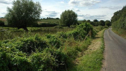 Road following Wells Brook This road to the north-west of Poolmill follows the course of Wells Brook. The willow trees on the left grow on the banks of the brook.