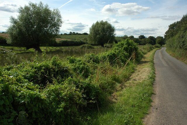 A rural road flanked by dense vegetation and trees.