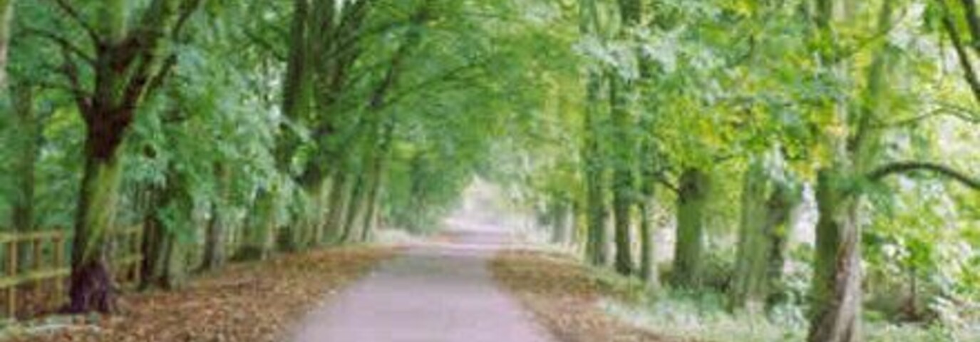 The Avenue, Leysters.