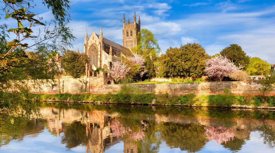 Worcester Cathedral on a sunny spring morning, with cherry blossom in bloom, and a reflection in the River Severn.