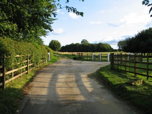 Driveway and farm track