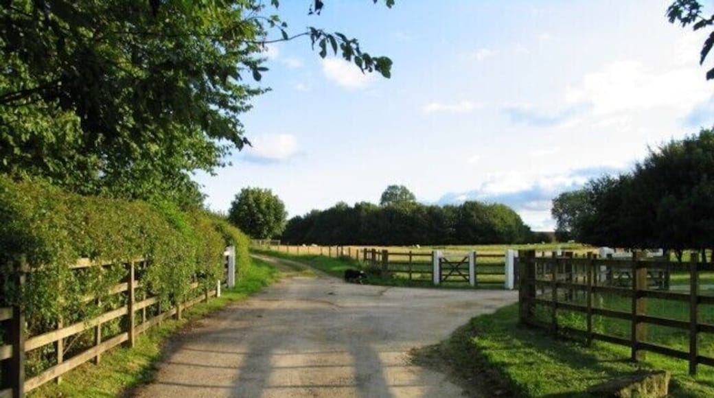 Driveway and farm track